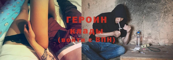 индика Беломорск
