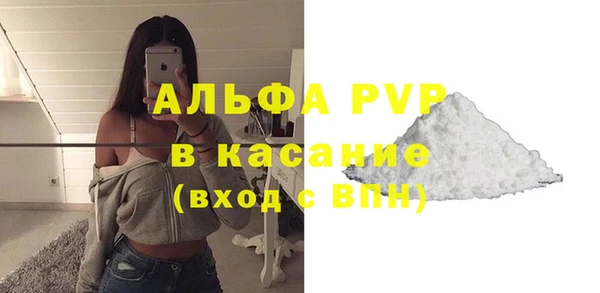 индика Беломорск