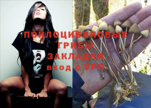 амф Белокуриха