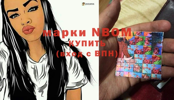 индика Беломорск