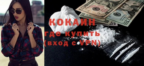 индика Беломорск