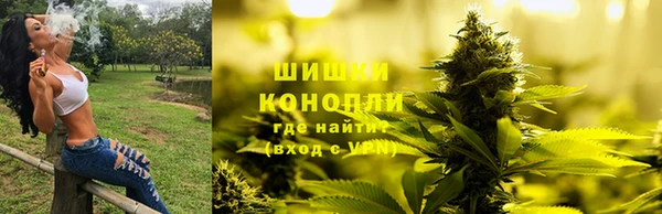 индика Беломорск