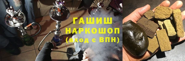 индика Беломорск