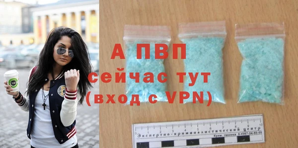 амф Белокуриха