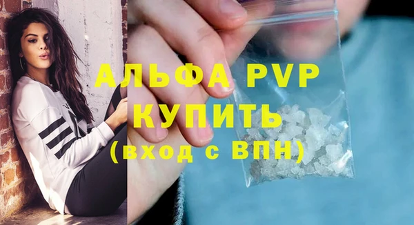 индика Беломорск