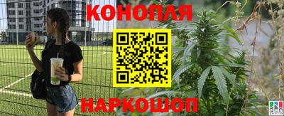 гашик Мариинск