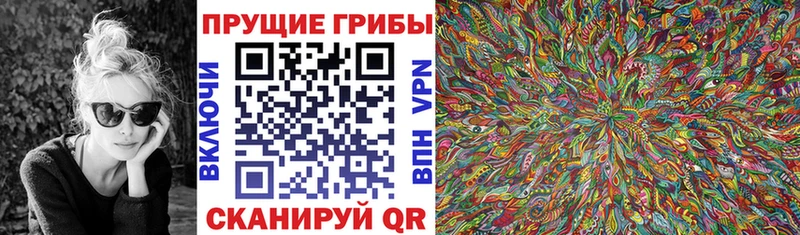 OMG онион  Вязьма  Псилоцибиновые грибы Cubensis 
