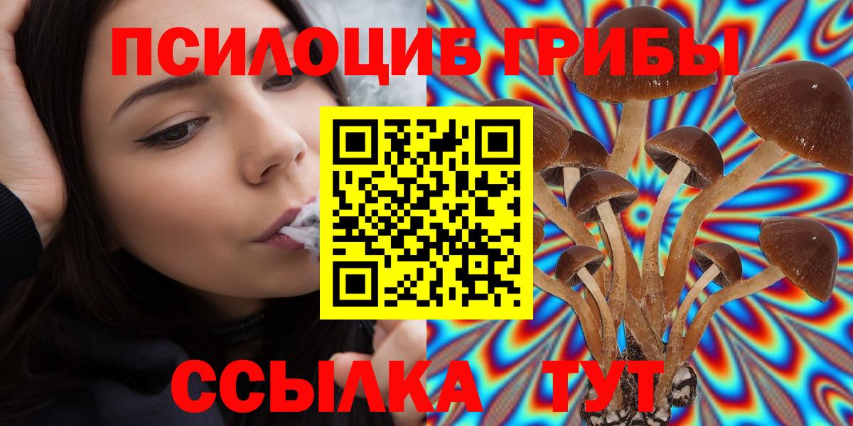 Псилоцибиновые грибы Cubensis  купить закладку  Вязьма  Вход с VPN 