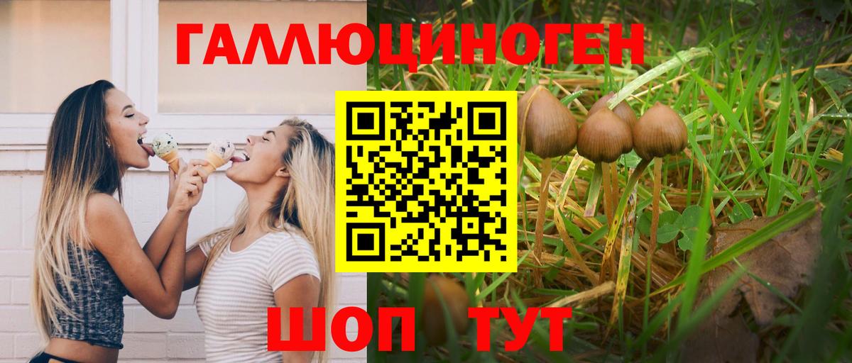 Псилоцибиновые грибы Cubensis Вязьма